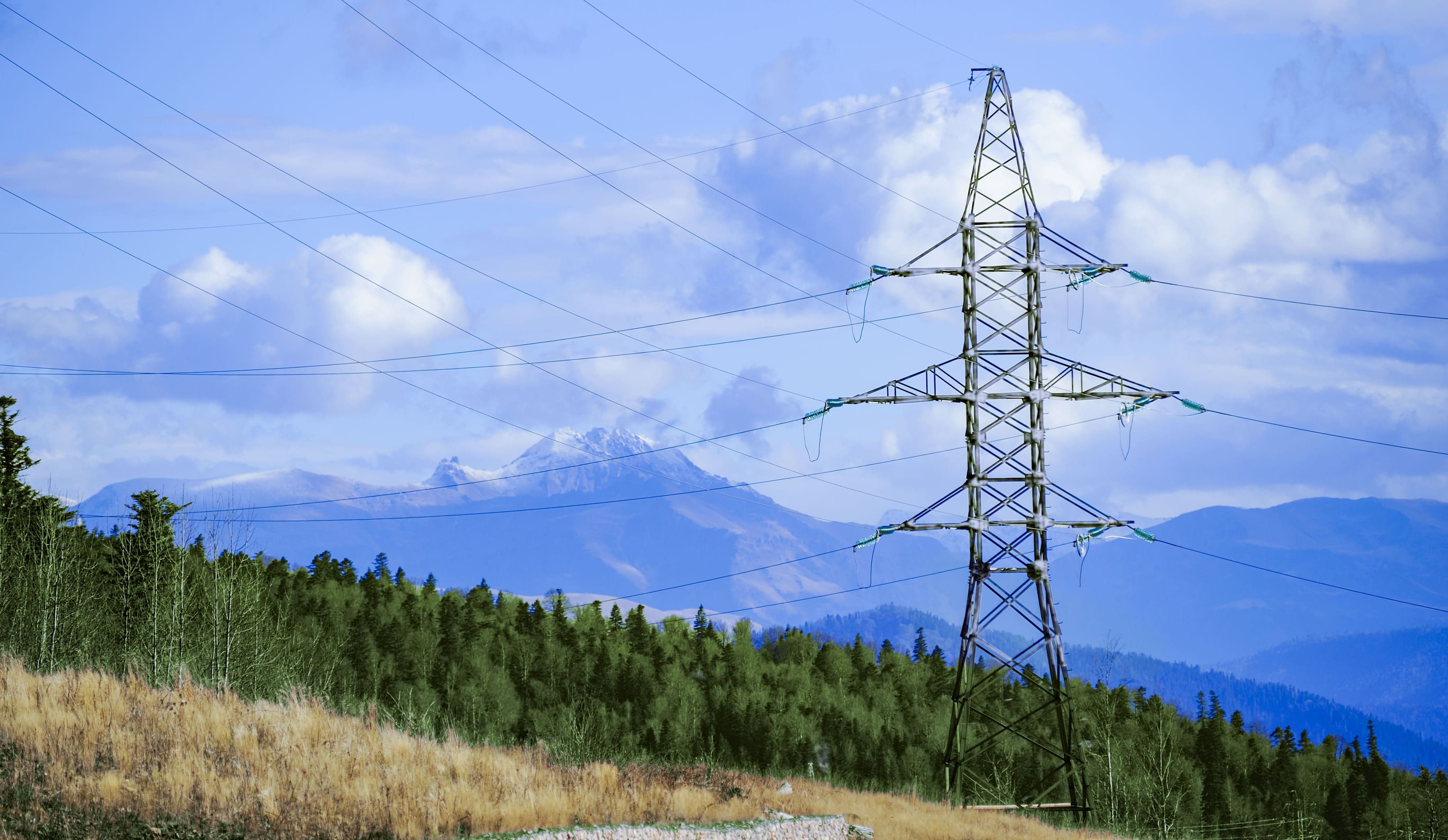 Электрический столб в поле пшеницы